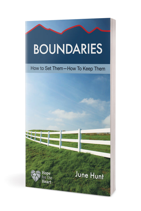 Boundaries by Tyndale, product view 3