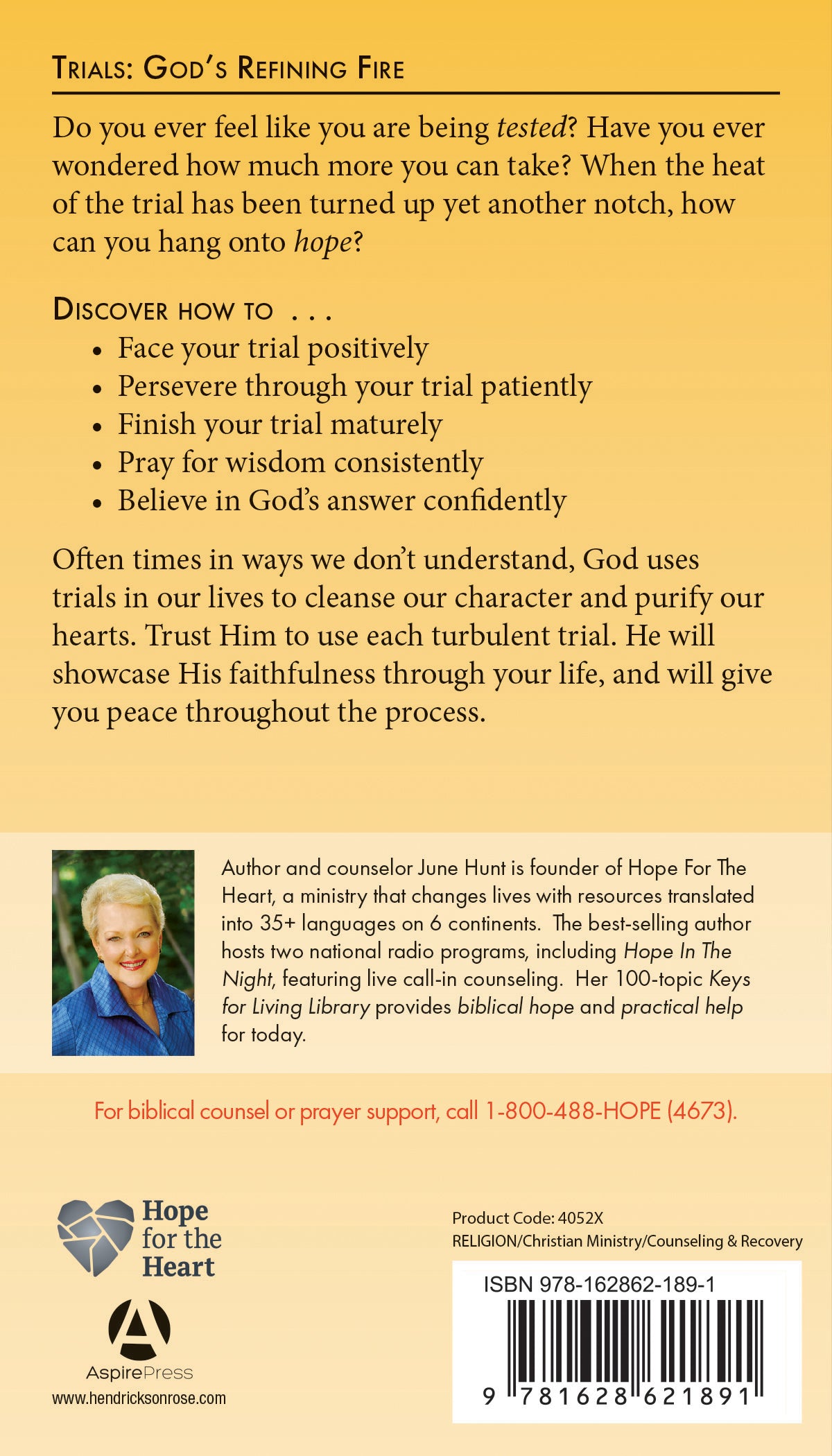 Trials by Tyndale, product view 2