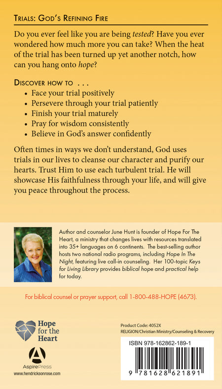 Trials by Tyndale, product view 2
