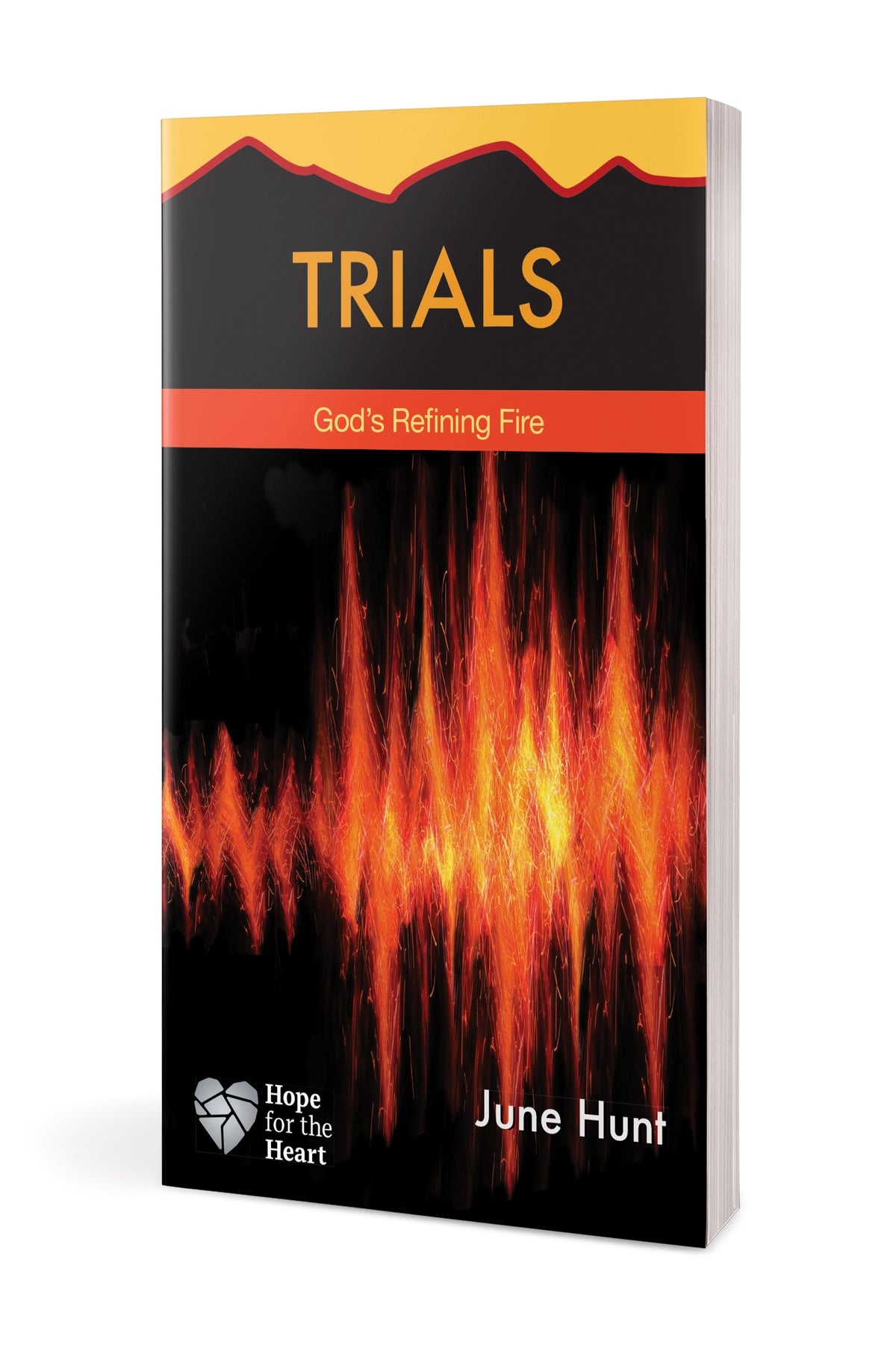 Trials by Tyndale, product view 3