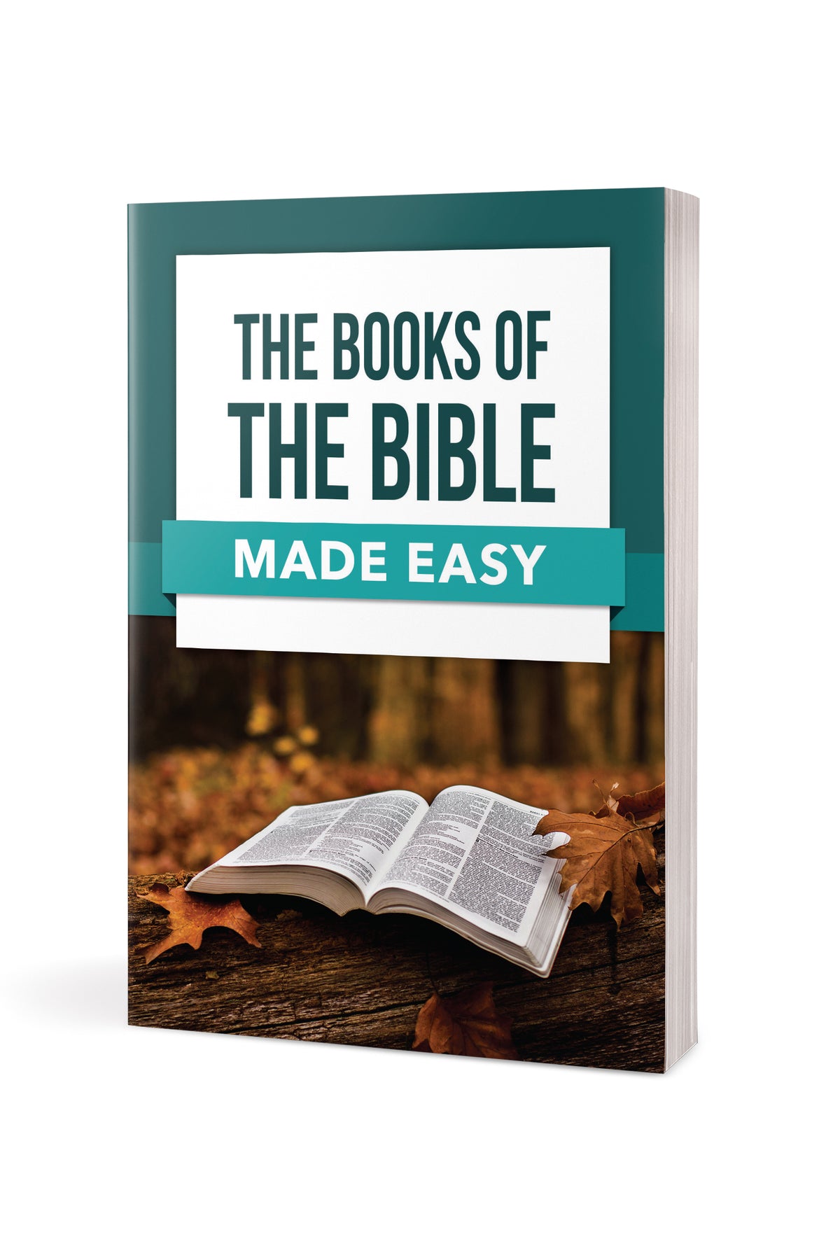 Books of the Bible Made Easy by Tyndale, product view 3
