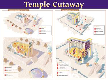 Temple Cutaway Wall Chart