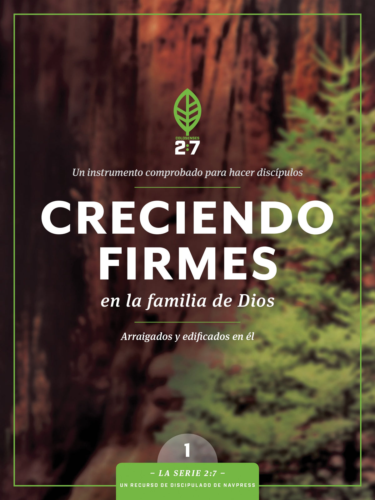 Creciendo firmes en la familia de Dios (The 2:7 Series) by Tyndale