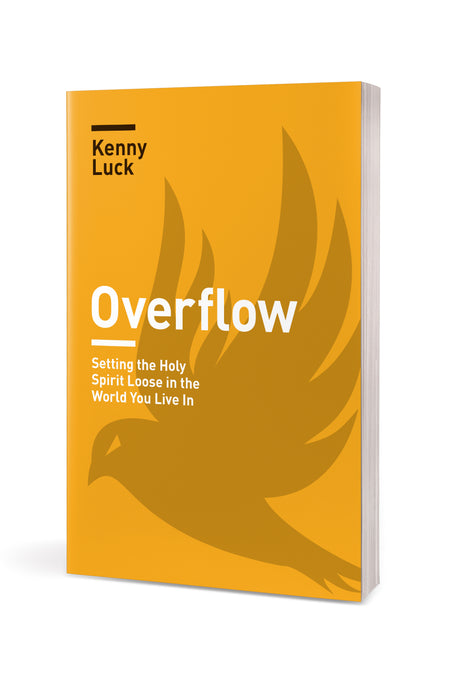 Overflow by Tyndale, product view 3