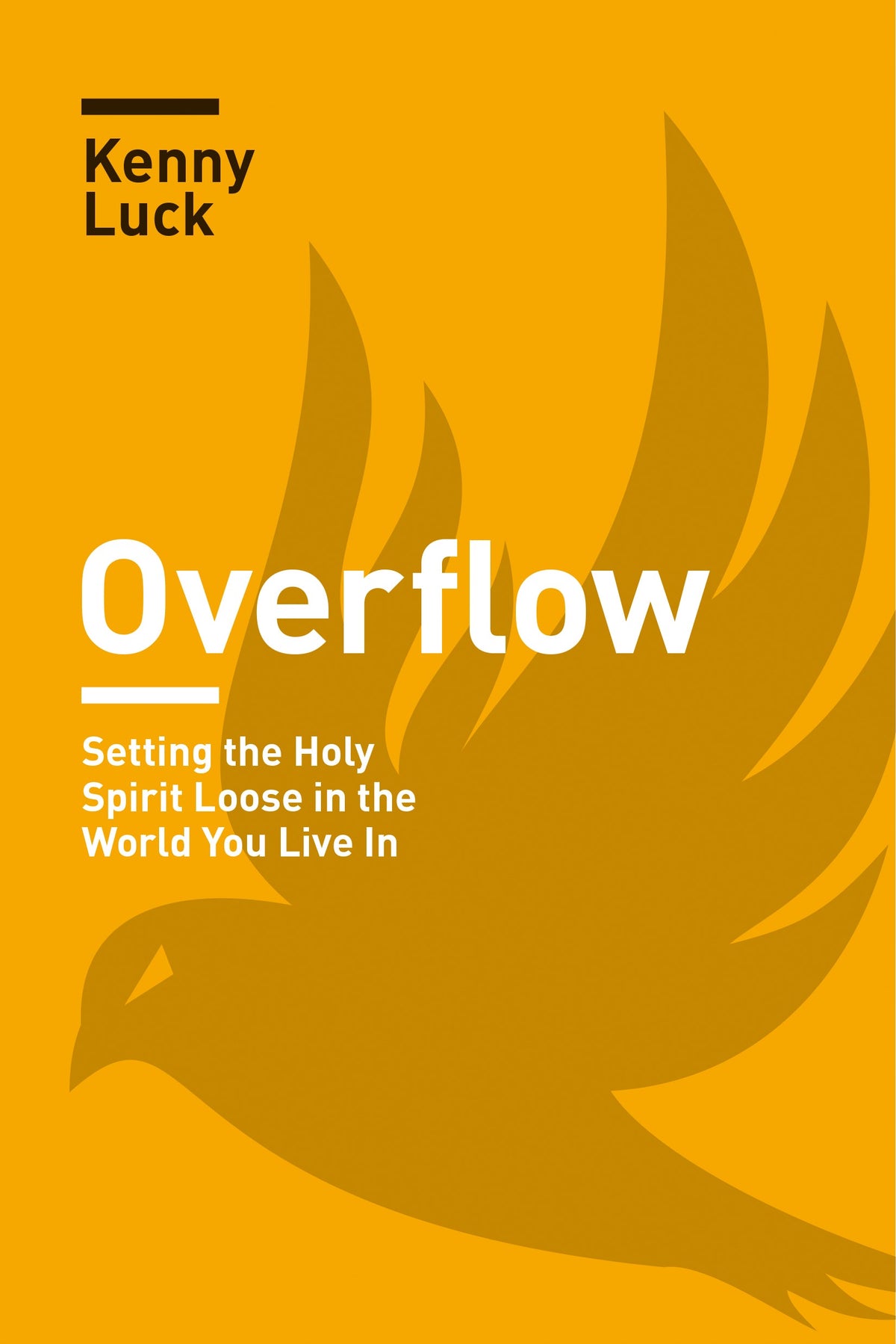 Overflow by Tyndale