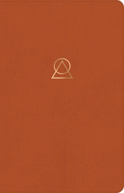 The Message Women’s Devotional Bible