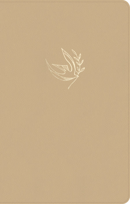 The Message Devotional Bible – Leather-Look/Driftwood Dove by Tyndale, product view 2