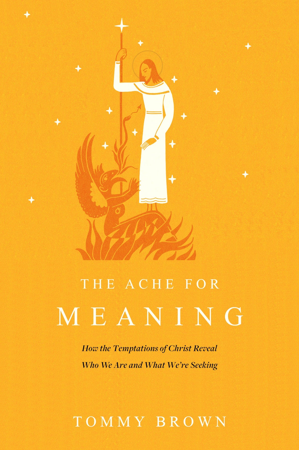 The Ache for Meaning by Tyndale