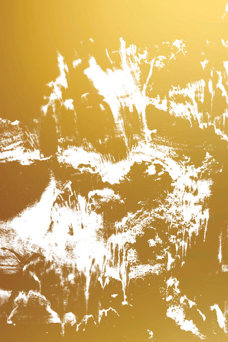 Refractions by Tyndale, product view 6