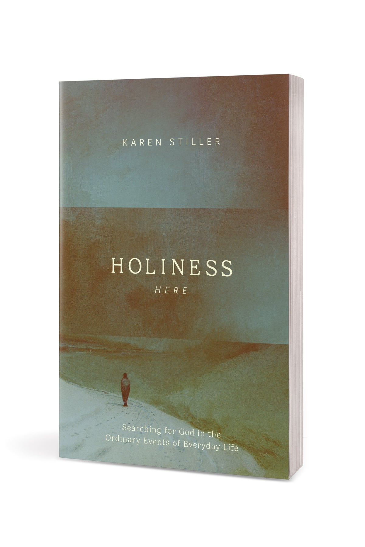 Holiness Here by Tyndale, product view 3