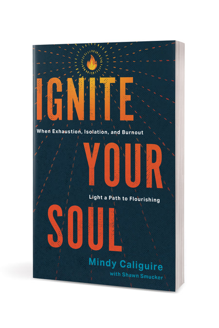 Ignite Your Soul by Tyndale, product view 3