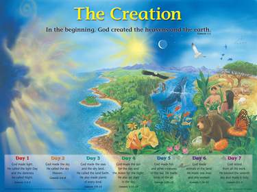 The Creation Wall Chart