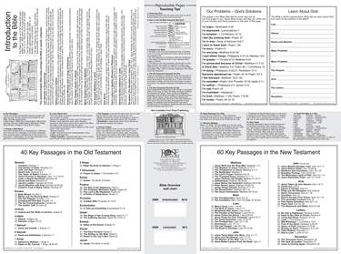 Bible Overview Wall Chart
