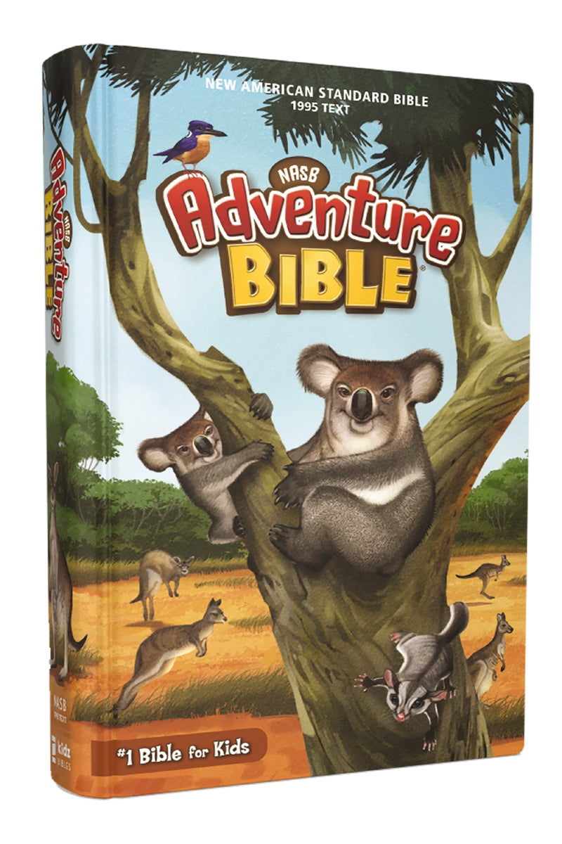 NASB, Adventure Bible, Full Color Interior, Red Letter, 1995 Text, Comfort Print – Hardcover by HarperCollins