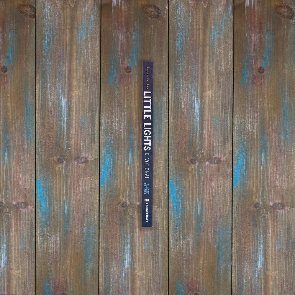 Tiny Truths Little Lights Devotional: Shining God’s Light in the World by HarperCollins, product view 3