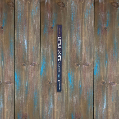 Tiny Truths Little Lights Devotional: Shining God’s Light in the World by HarperCollins, product view 3