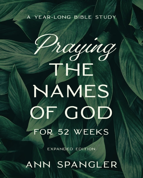 Praying the Names of God for 52 Weeks, Expanded Edition: A Year-Long Bible Study by HarperCollins