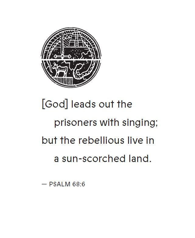 Revolt Bible Study Guide: The Story of God’s Pursuit of Imperfect People (The Jesus Bible Study Series), product view 8