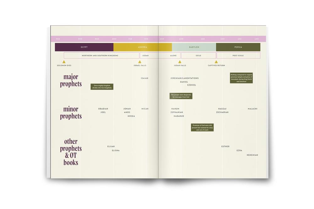 30 Days with Jesus Bible Study Guide: Experiencing His Presence throughout the Old and New Testaments, product view 3