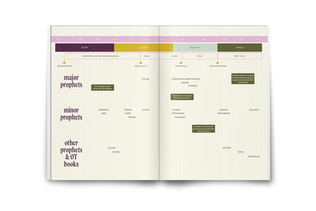 30 Days with Jesus Bible Study Guide: Experiencing His Presence throughout the Old and New Testaments, product view 3