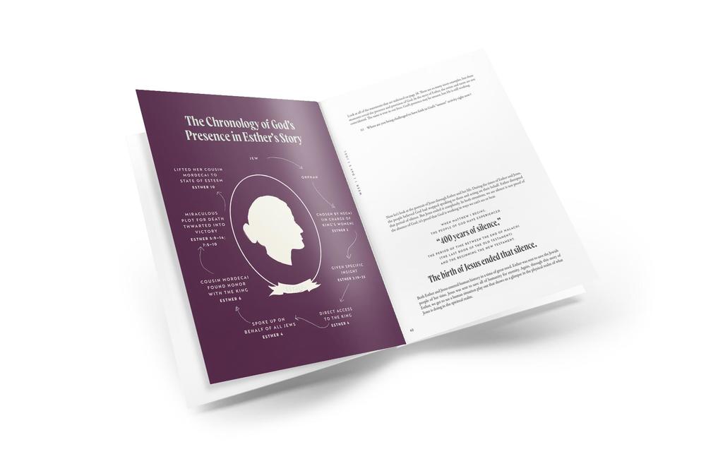 30 Days with Jesus Bible Study Guide: Experiencing His Presence throughout the Old and New Testaments, product view 4