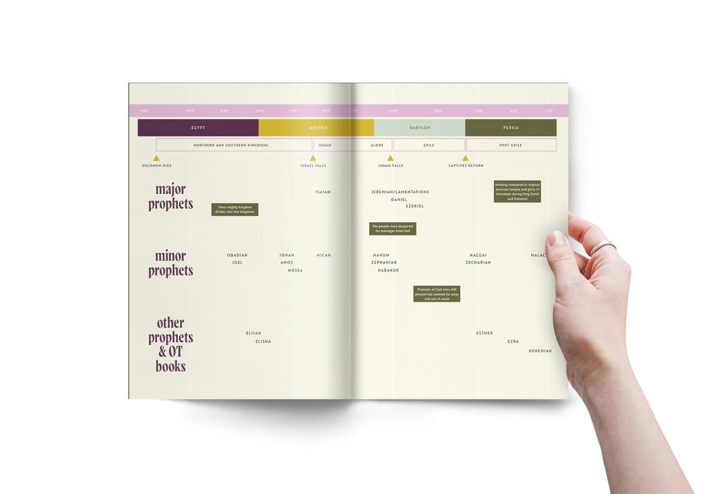 30 Days with Jesus Bible Study Guide: Experiencing His Presence throughout the Old and New Testaments, product view 2
