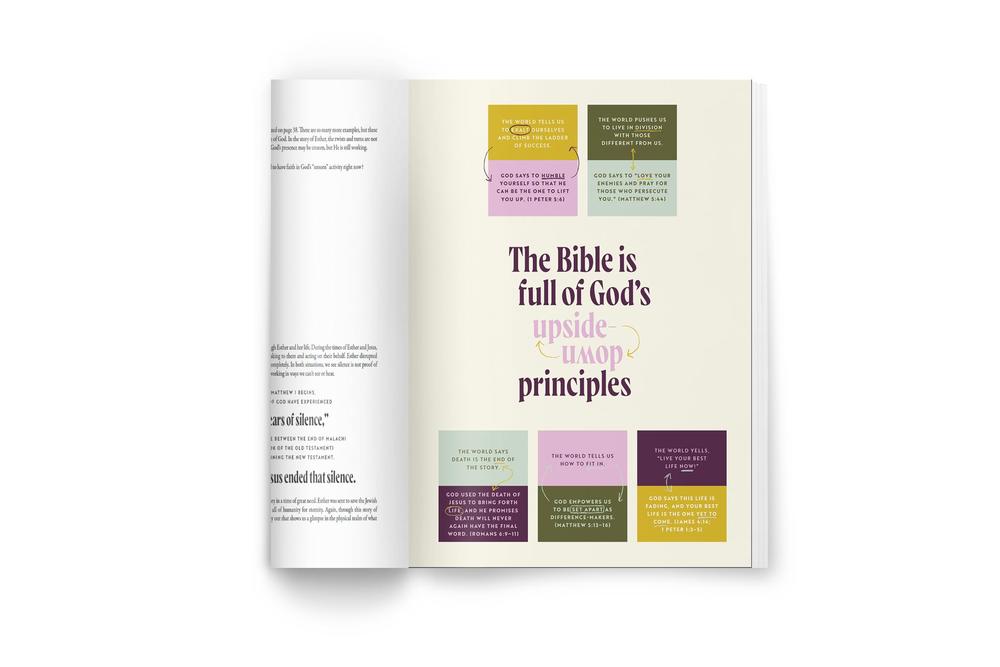 30 Days with Jesus Bible Study Guide: Experiencing His Presence throughout the Old and New Testaments, product view 5