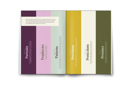 30 Days with Jesus Bible Study Guide: Experiencing His Presence throughout the Old and New Testaments, product view 6
