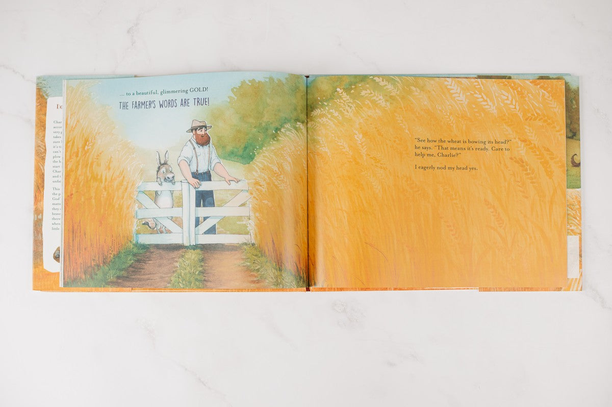 The Good Farmer and the Worried Donkey: A Story About Finding Peace in God's Strength by HarperCollins, product view 5