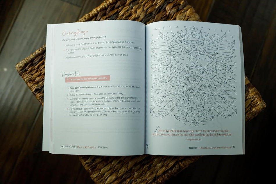 Song of Songs Bible Study Guide plus Streaming Video: The Love We Long For by HarperCollins, product view 2
