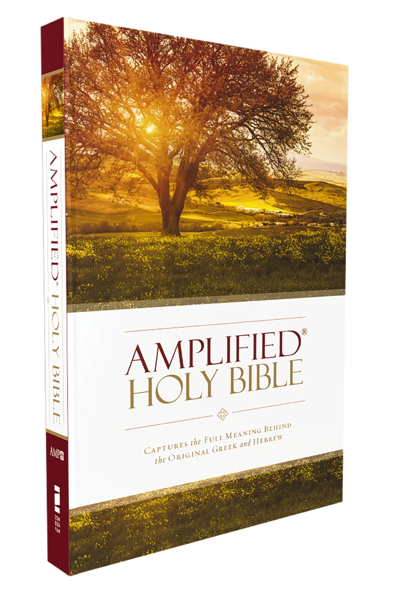 Amplified Holy Bible: Captures the Full Meaning Behind the Original Greek and Hebrew – Softcover by HarperCollins