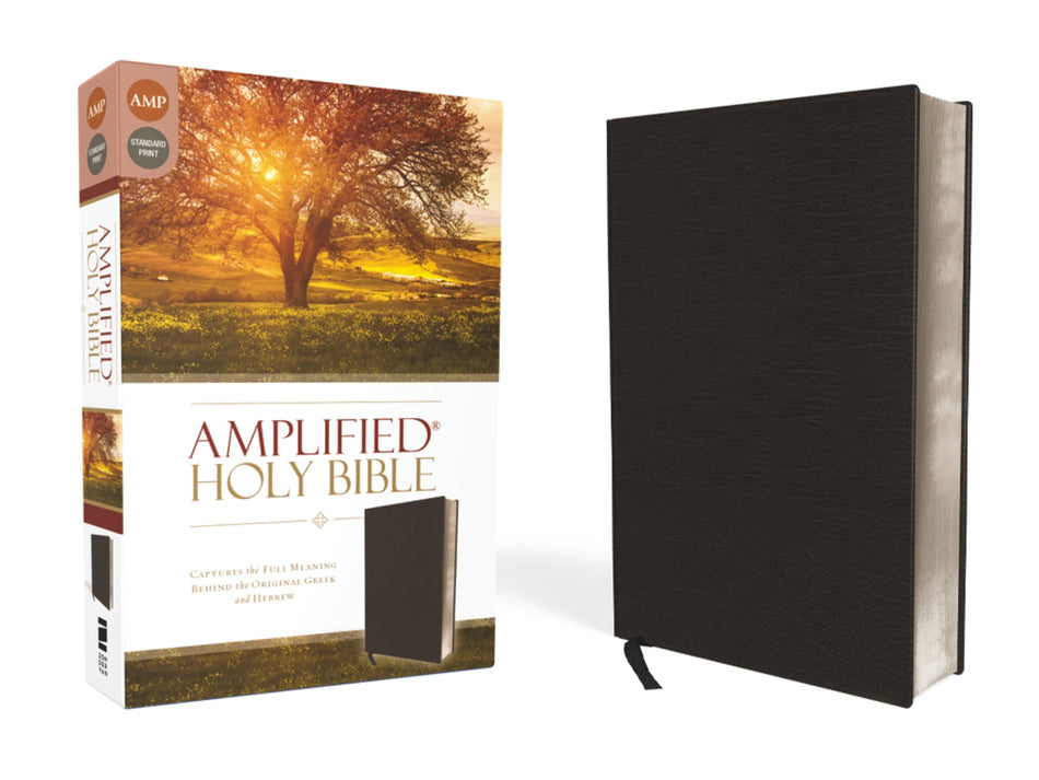 Amplified Holy Bible: Captures the Full Meaning Behind the Original Greek and Hebrew – Bonded Leather, Black by HarperCollins