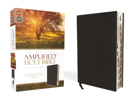 Amplified Holy Bible: Captures the Full Meaning Behind the Original Greek and Hebrew – Bonded Leather, Black, Thumb Indexed