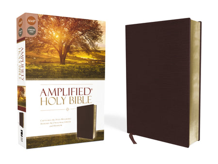 Amplified Holy Bible: Captures the Full Meaning Behind the Original Greek and Hebrew – Bonded Leather, Burgundy
