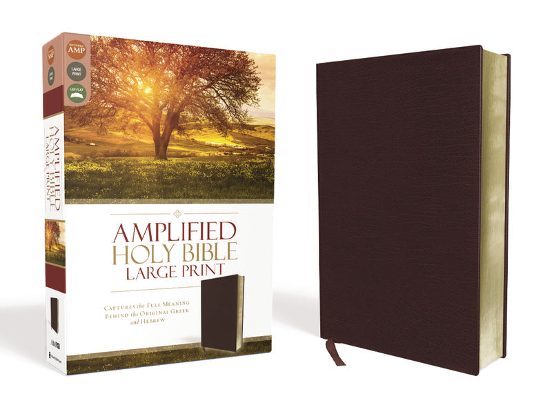 Amplified Holy Bible, Large Print: Captures the Full Meaning Behind the Original Greek and Hebrew – Bonded Leather Large