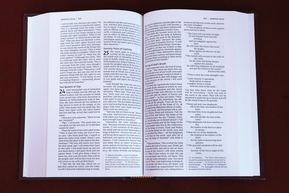 Church Pew Bible (NIV) - Burgundy Hardcover by HarperCollins, product view 4