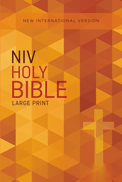 NIV, Outreach Bible, Large Print, Paperback  (Large type / large print)