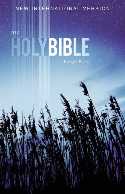 NIV, Outreach Bible, Large Print, Paperback  (Large type / large print)