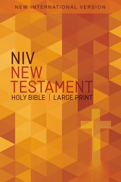 NIV, Outreach New Testament, Large Print, Paperback  (Large type / large print)