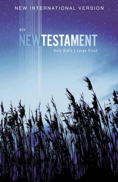 NIV, Outreach New Testament, Large Print, Paperback  (Large type / large print)