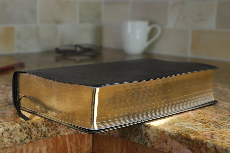KJV, Amplified, Parallel Bible, Large Print, Red Letter Edition: Two Bible Versions Together for Study and, product view 2