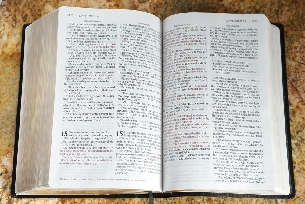 KJV, Amplified, Parallel Bible, Large Print, Red Letter Edition: Two Bible Versions Together for Study and, product view 3