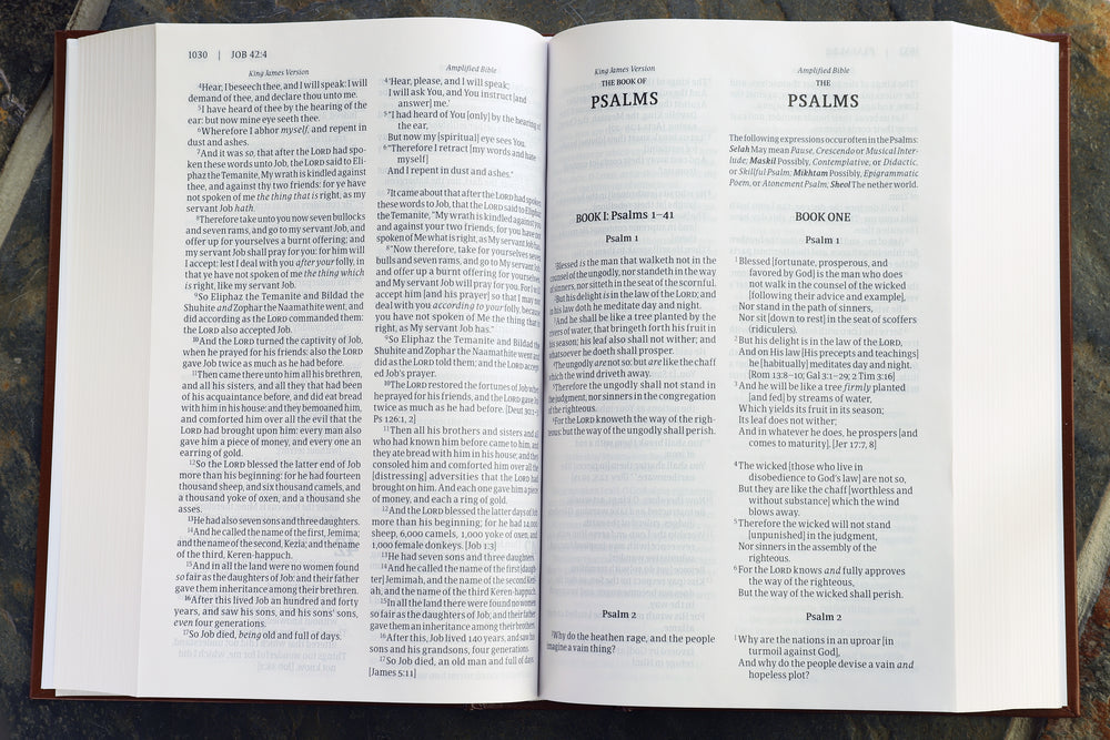 KJV, Amplified, Parallel Bible, Large Print, Red Letter Edition: Two Bible Versions Together for Study and, product view 5