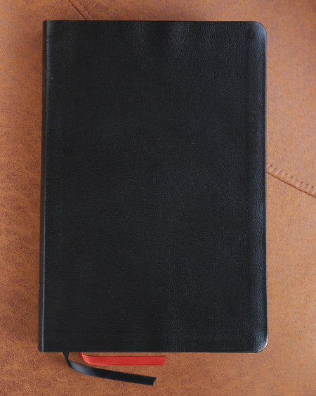NIV, Thinline Bible, Giant Print, Red Letter, Comfort Print – Bonded Leather, Black by HarperCollins, product view 2