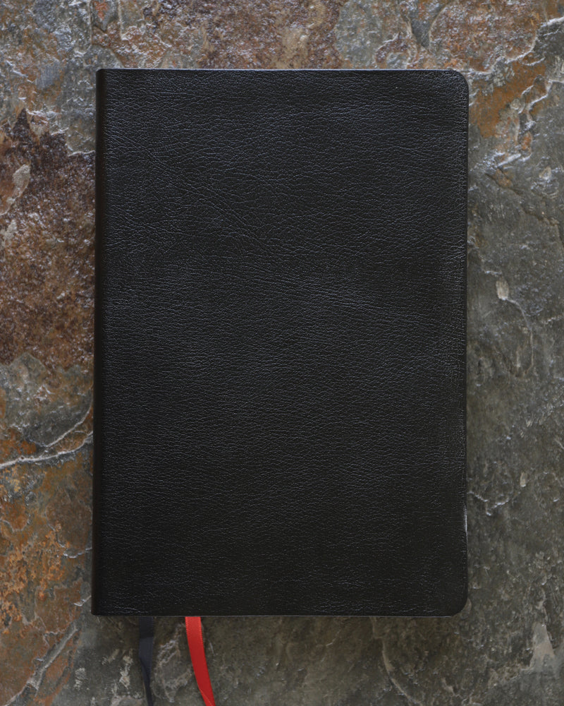 NIV, Thinline Bible, Giant Print, Red Letter, Comfort Print – Bonded Leather, Black, Thumb Indexed, product view 2