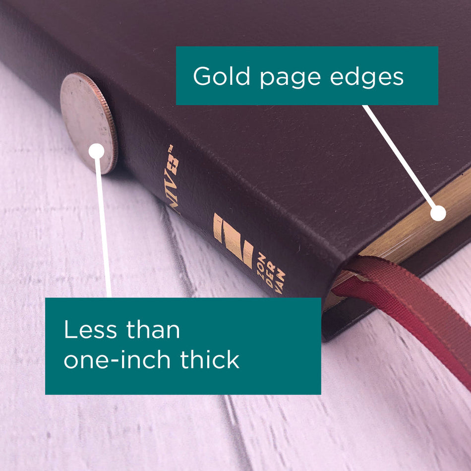 NIV, Thinline Bible, Red Letter, Comfort Print – Bonded Leather, Burgundy by HarperCollins, product view 2