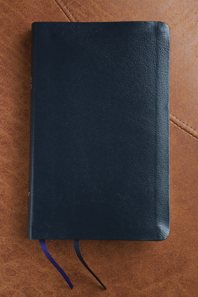 NIV, Thinline Bible, Red Letter, Comfort Print – Bonded Leather, Navy by HarperCollins, product view 2