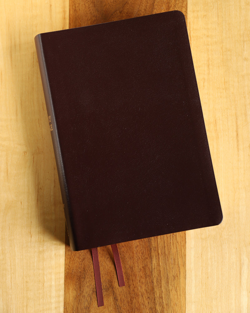 NIV, Reference Bible, Giant Print, Red Letter Edition, Comfort Print – Bonded Leather, Burgundy, product view 2