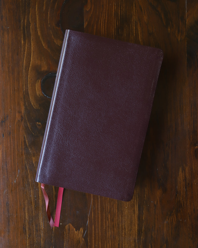 NIV, Thinline Reference Bible, Red Letter Edition, Comfort Print – Bonded Leather, Burgundy, Thumb Indexed, product view 2