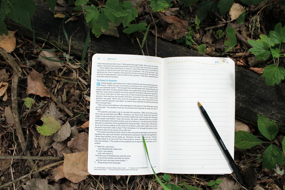 NIV, Adventure Bible Field Notes, Luke, Paperback, Comfort Print: My First Bible Journal Zondervan, product view 7